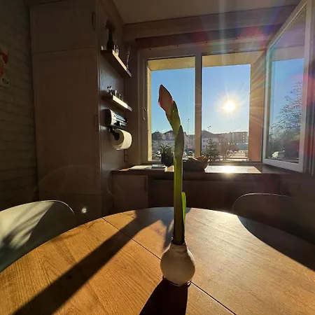 Cozy Place Nearby The Baltic Sea And Lcc Uni *