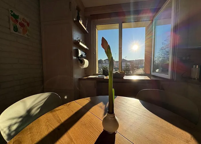 Cozy Place Nearby The Baltic Sea And Lcc Uni *