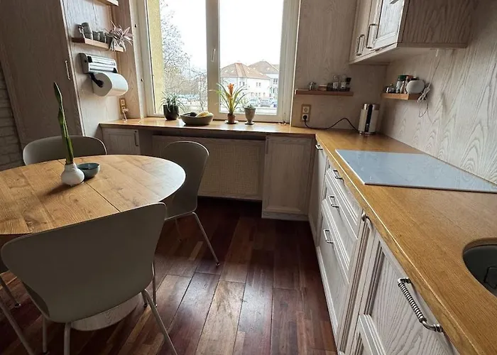 Cozy Place Nearby The Baltic Sea And Lcc Uni Apartment Klaipėda