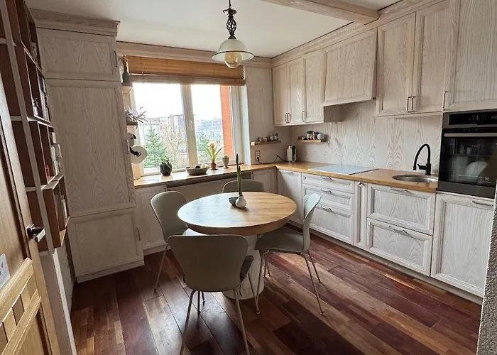 Apartment Cozy Place Nearby The Baltic Sea And Lcc Uni Klaipėda